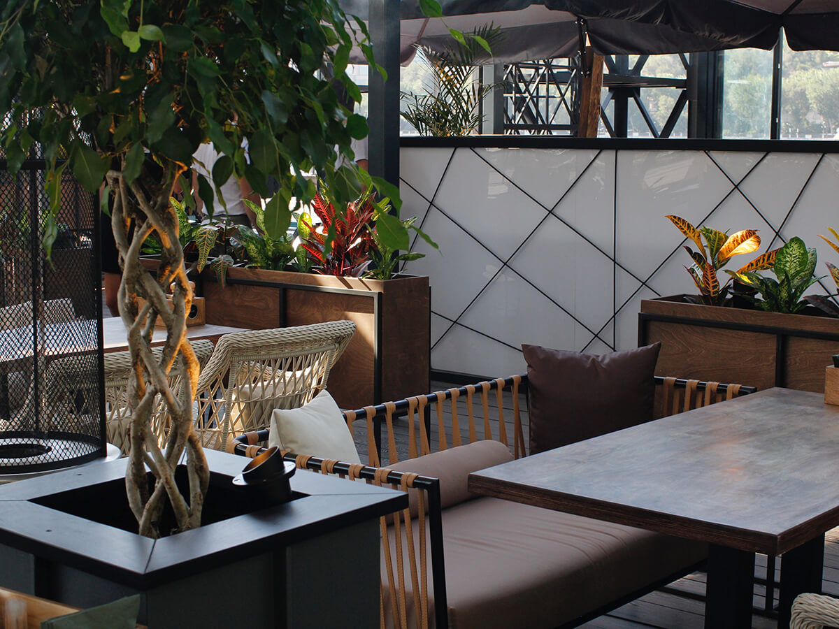 توسعه دهنده وردپرس